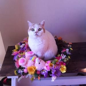 Meet your Posher, Christine